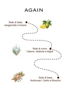 AGAIN - eau de parfum 100ml