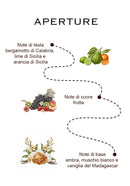 Kit Lens Essence – L’inizio di un viaggio olfattivo