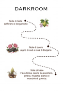 Kit Lens Essence – L’inizio di un viaggio olfattivo