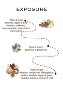 EXPOSURE - eau de parfum 100ml