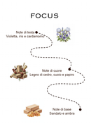 Kit Lens Essence – L’inizio di un viaggio olfattivo